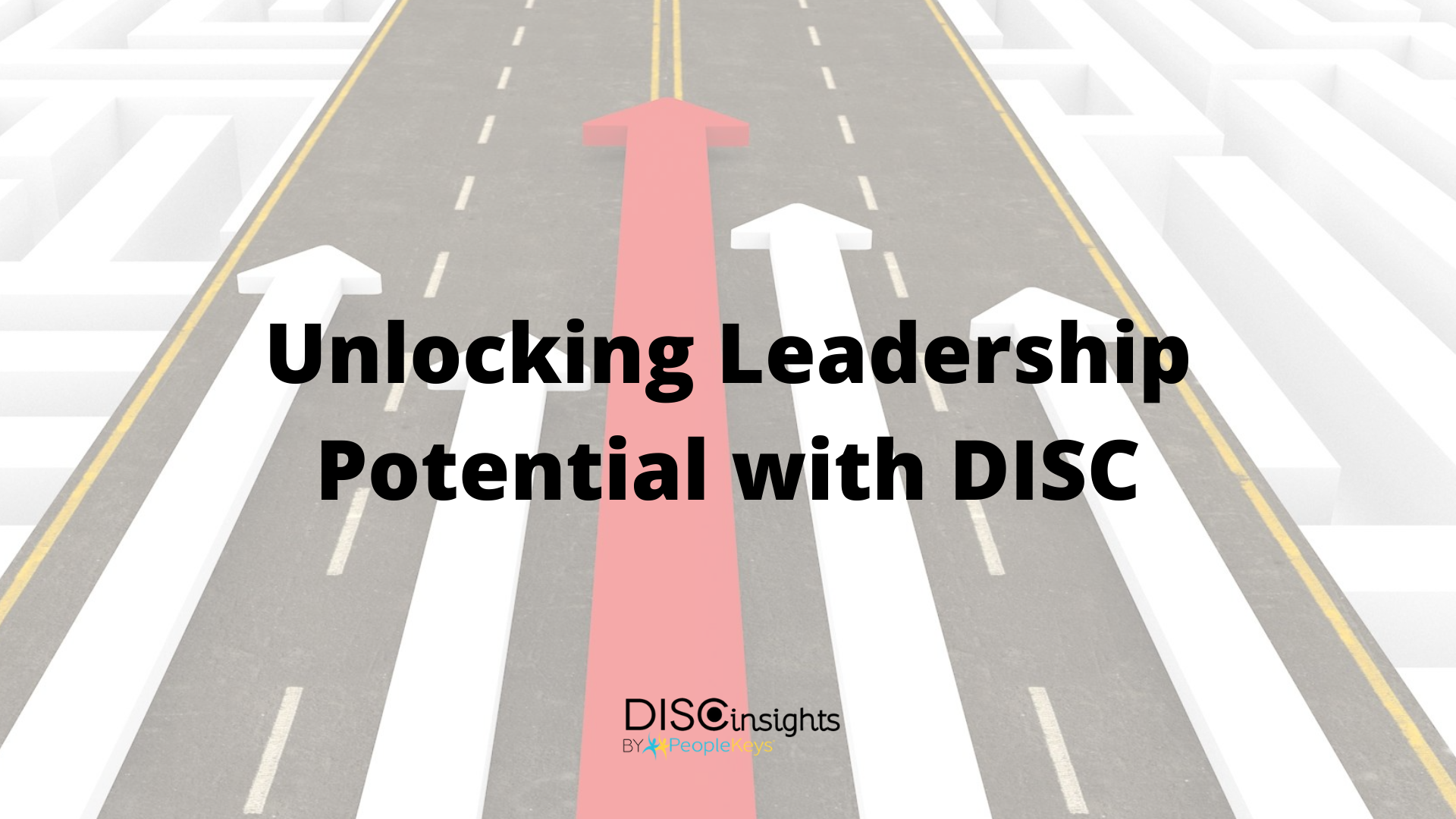 Disc Assessments For Unlocking Leadership Potential 9875